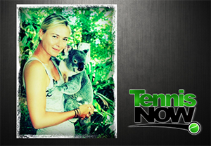 Koala Gets Frisky With Sharapova  