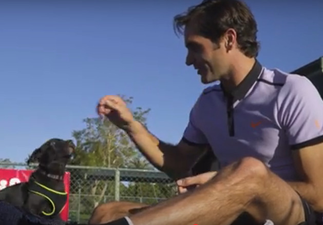 Watch: Roger Federer, Dog Whisperer 