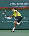 BNP Paribas Open, Indian Wells 2010, Tsonga  73586