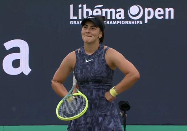Andreescu Charges into 's-Hertogenbosch Final  